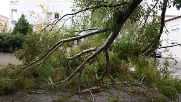 Αγριεύει ο καιρός | Ισχυροί άνεμοι στη Θεσσαλονίκη - Ξεριζώθηκαν δέντρα, ζημιές σε ΙΧ (vd)