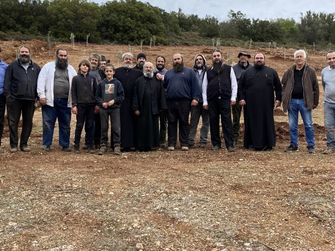 &Sigma;&upsilon;&nu;&epsilon;&chi;ί&zeta;&omicron;&nu;&tau;&alpha;&sigmaf; &tau;&omicron; έ&rho;&gamma;&omicron; &tau;&omicron;&upsilon; &mu;&alpha;&kappa;&alpha;&rho;&iota;&sigma;&tau;&omicron;ύ &Alpha;&lambda;έ&xi;&alpha;&nu;&delta;&rho;&omicron;&upsilon; | &Kappa;&lambda;&eta;&rho;&iota;&kappa;&omicron;ί &kappa;&alpha;&iota; &lambda;&alpha;ϊ&kappa;&omicron;ί &phi;ύ&tau;&epsilon;&upsilon;&sigma;&alpha;&nu; &epsilon;&lambda;&alpha;&iota;ό&delta;&epsilon;&nu;&delta;&rho;&alpha; &sigma;&tau;&alpha; &kappa;&tau;ή&mu;&alpha;&tau;&alpha; &tau;&eta;&sigmaf; &Mu;&omicron;&nu;ή&sigmaf; &Tau;&iota;&mu;ί&omicron;&upsilon; &Pi;&rho;&omicron;&delta;&rho;ό&mu;&omicron;&upsilon;