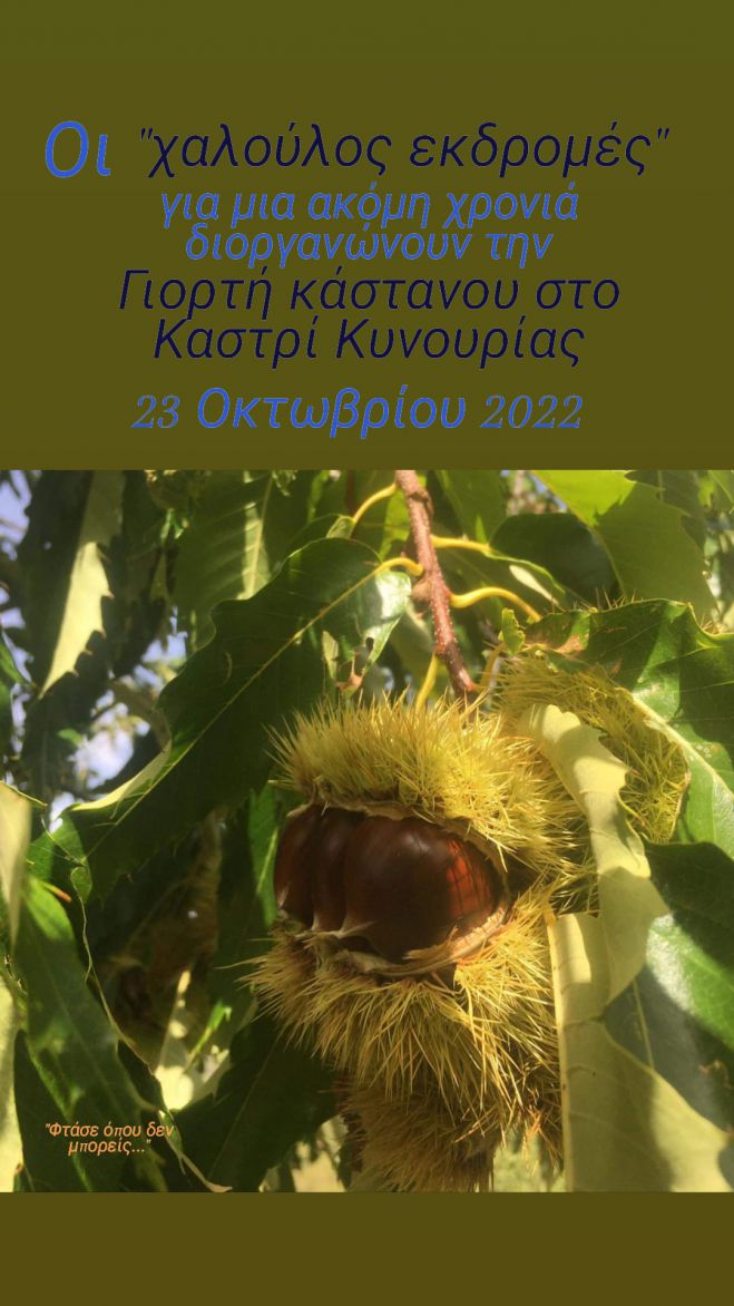 &Gamma;&iota;&omicron;&rho;&tau;ή &Kappa;ά&sigma;&tau;&alpha;&nu;&omicron;&upsilon; &sigma;&tau;&omicron; &Kappa;&alpha;&sigma;&tau;&rho;ί