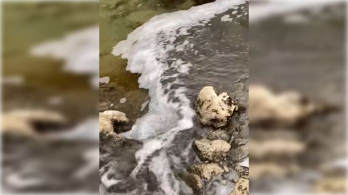 &Gamma;&omicron;&rho;&tau;&upsilon;&nu;ί&alpha; | &Sigma;&omicron;&beta;&alpha;&rho;ή &kappa;&alpha;&tau;&alpha;&gamma;&gamma;&epsilon;&lambda;ί&alpha; &gamma;&iota;&alpha; &rho;ύ&pi;&alpha;&nu;&sigma;&eta; &mu;&epsilon; &beta;&omicron;&theta;&rho;&omicron;&lambda;ύ&mu;&alpha;&tau;&alpha; &sigma;&tau;&omicron;&nu; &Mu;&upsilon;&lambda;ά&omicron;&nu;&tau;&alpha; &pi;&omicron;&tau;&alpha;&mu;ό (vd)