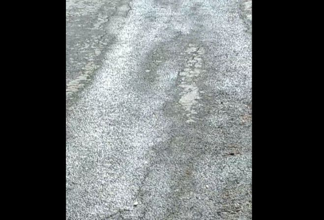 Έβρεξε στο Νεοχώρι Γορτυνίας - Περιορίστηκε η φωτιά (vd)