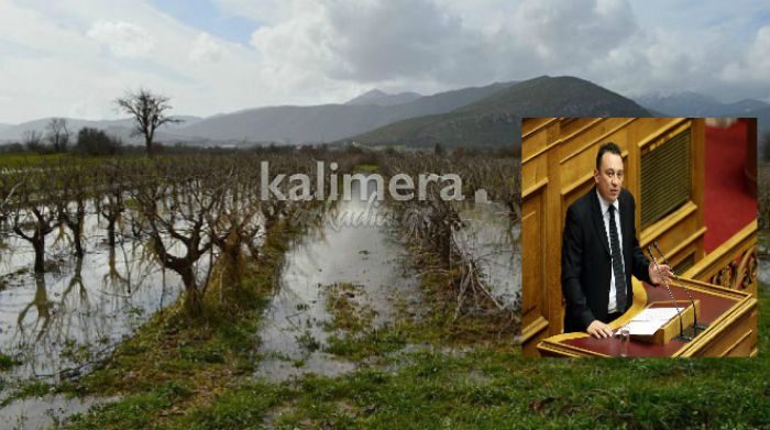 &Beta;&lambda;ά&sigma;&eta;&sigmaf; &gamma;&iota;&alpha; &tau;&iota;&sigmaf; &zeta;&eta;&mu;&iota;έ&sigmaf; &sigma;&epsilon; &alpha;&mu;&pi;έ&lambda;&iota;&alpha; &tau;&eta;&sigmaf; &Alpha;&rho;&kappa;&alpha;&delta;ί&alpha;&sigmaf;: &laquo;&Sigma;&tau;&omicron;&upsilon; &kappa;&omicron;&upsilon;&phi;&omicron;ύ &tau;&eta;&nu; &pi;ό&rho;&tau;&alpha;, ό&sigma;&omicron; &theta;έ&lambda;&epsilon;&iota;&sigmaf; &beta;&rho;ό&nu;&tau;&alpha;!&raquo;