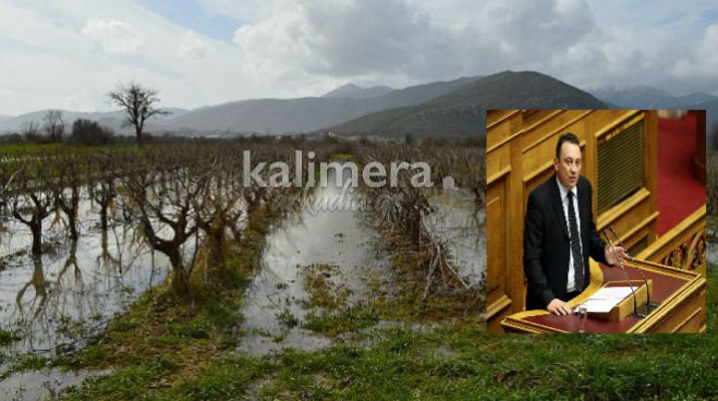 &Beta;&lambda;ά&sigma;&eta;&sigmaf; &gamma;&iota;&alpha; &tau;&iota;&sigmaf; &zeta;&eta;&mu;&iota;έ&sigmaf; &sigma;&epsilon; &alpha;&mu;&pi;έ&lambda;&iota;&alpha; &tau;&eta;&sigmaf; &Alpha;&rho;&kappa;&alpha;&delta;ί&alpha;&sigmaf;: &laquo;&Sigma;&tau;&omicron;&upsilon; &kappa;&omicron;&upsilon;&phi;&omicron;ύ &tau;&eta;&nu; &pi;ό&rho;&tau;&alpha;, ό&sigma;&omicron; &theta;έ&lambda;&epsilon;&iota;&sigmaf; &beta;&rho;ό&nu;&tau;&alpha;!&raquo;