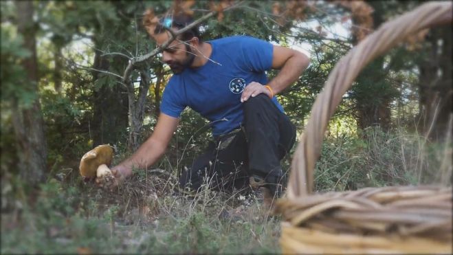 &Kappa;&upsilon;&nu;ή&gamma;&iota; &mu;&alpha;&nu;&iota;&tau;&alpha;&rho;&iota;ώ&nu; &sigma;&tau;&omicron;&nu; &mu;&alpha;&gamma;&epsilon;&upsilon;&tau;&iota;&kappa;ό &Pi;ά&rho;&nu;&omega;&nu;&alpha;! (vd)