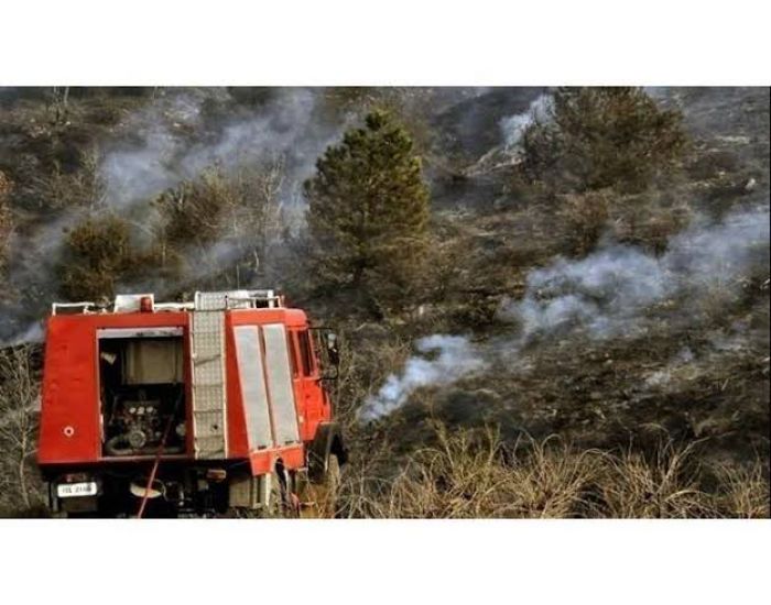 &Pi;&upsilon;&rho;&omicron;&sigma;&beta;&epsilon;&sigma;&tau;&iota;&kappa;ό ό&chi;&eta;&mu;&alpha; &pi;&alpha;&rho;&alpha;&chi;&omega;&rho;&epsilon;ί &omicron; &Delta;ή&mu;&omicron;&sigmaf; &Tau;&rho;ί&pi;&omicron;&lambda;&eta;&sigmaf; &sigma;&tau;&omicron; &Epsilon;&theta;&epsilon;&lambda;&omicron;&nu;&tau;&iota;&kappa;ό &Kappa;&lambda;&iota;&mu;ά&kappa;&iota;&omicron; &Kappa;&omicron;&lambda;&lambda;&iota;&nu;ώ&nu;