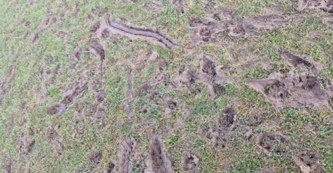 "Βούρκος" ο αγωνιστικός χώρος στο γήπεδο του Παναρκαδικού καταγγέλλει γυναικεία ομάδα από το Ρέθυμνο! (vd)