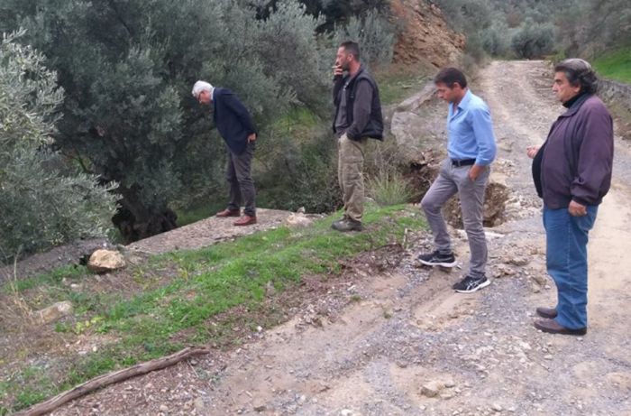 Σμυρνιώτης: &quot;Ούτε μισό μηχάνημα δεν έχει εμφανιστεί στον ελαιώνα του Ελαιοχωρίου&quot; (εικόνες)