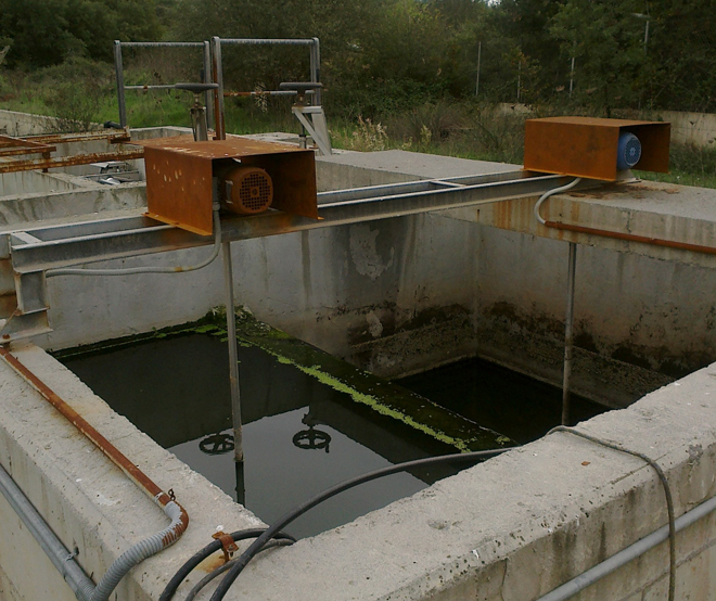 &Epsilon;&iota;&kappa;ό&nu;&epsilon;&sigmaf; &epsilon;&gamma;&kappa;&alpha;&tau;ά&lambda;&epsilon;&iota;&psi;&eta;&sigmaf; &sigma;&tau;&omicron; &beta;&iota;&omicron;&lambda;&omicron;&gamma;&iota;&kappa;ό &kappa;&alpha;&theta;&alpha;&rho;&iota;&sigma;&mu;ό &tau;&omicron;&upsilon; &Delta;ή&mu;&omicron;&upsilon; &Mu;&epsilon;&gamma;&alpha;&lambda;ό&pi;&omicron;&lambda;&eta;&sigmaf; έ&delta;&omega;&sigma;&epsilon; &sigma;&tau;&eta; &delta;&eta;&mu;&omicron;&sigma;&iota;ό&tau;&eta;&tau;&alpha; &omicron; &Tau;&sigma;&iota;&rho;&iota;&gamma;ώ&tau;&eta;&sigmaf;