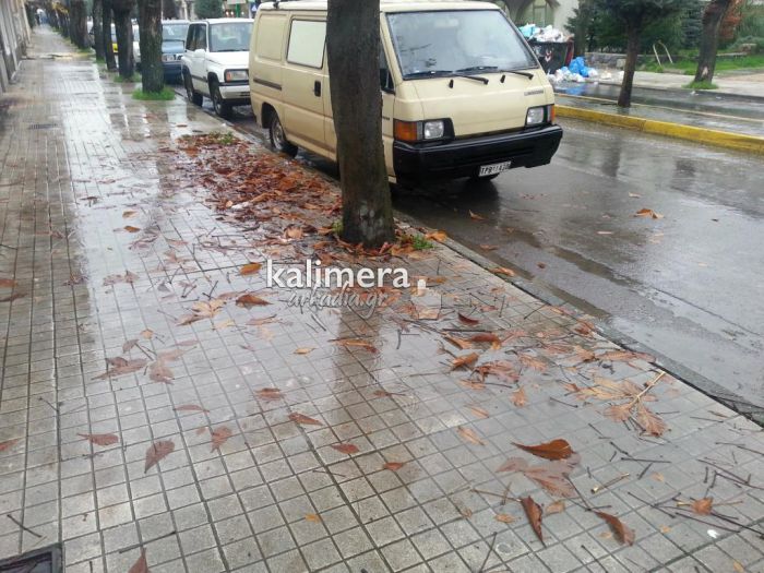 &Beta;&rho;&omicron;&chi;έ&sigmaf; &kappa;&alpha;&iota; &tau;&eta;&nu; &Tau;&epsilon;&tau;ά&rho;&tau;&eta; &sigma;&tau;&eta;&nu; &Alpha;&rho;&kappa;&alpha;&delta;ί&alpha;;