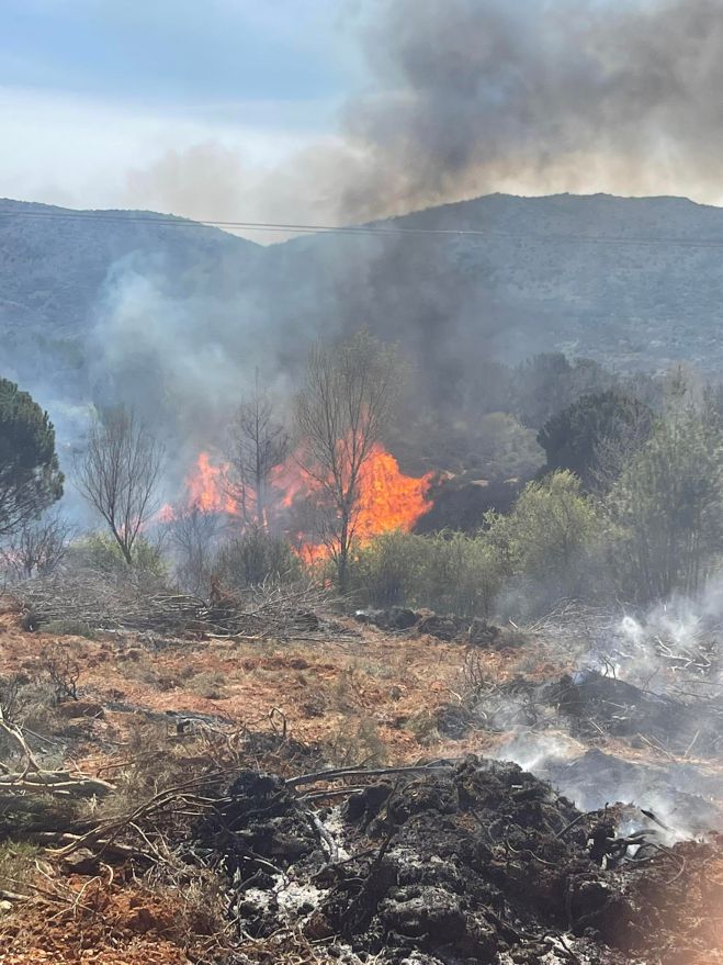 &Eta; &phi;&omega;&tau;&iota;ά &sigma;&tau;&iota;&sigmaf; &Rho;ί&zeta;&epsilon;&sigmaf; &Tau;&epsilon;&gamma;έ&alpha;&sigmaf; &mu;έ&sigma;&alpha; &alpha;&pi;ό &epsilon;&iota;&kappa;ό&nu;&epsilon;&sigmaf; &kappa;&alpha;&iota; &beta;ί&nu;&tau;&epsilon;&omicron;