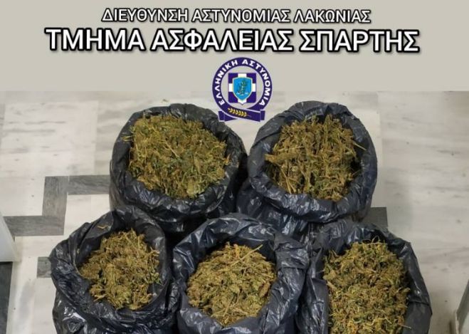 Κατασχέθηκαν 60 κιλά κάνναβης στη Λακωνία