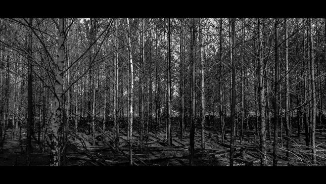 Πυροσβεστική | Το νέο κοινωνικό μήνυμα για τις δασικές πυρκαγιές (vd)