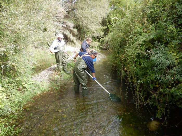 &Delta;&rho;ά&sigma;&epsilon;&iota;&sigmaf; &gamma;&iota;&alpha; &tau;&alpha; &alpha;&pi;&epsilon;&iota;&lambda;&omicron;ύ&mu;&epsilon;&nu;&alpha; &psi;ά&rho;&iota;&alpha; &sigma;&tau;&omicron;&nu; &pi;&omicron;&tau;&alpha;&mu;ό &Epsilon;&upsilon;&rho;ώ&tau;&alpha;