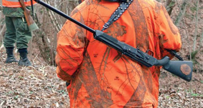 &Kappa;&upsilon;&nu;&eta;&gamma;ό&sigmaf; &tau;&rho;&alpha;&upsilon;&mu;&alpha;&tau;ί&sigma;&tau;&eta;&kappa;&epsilon; &sigma;&tau;&alpha; &sigma;ύ&nu;&omicron;&rho;&alpha; &Kappa;&omicron;&rho;&iota;&nu;&theta;ί&alpha;&sigmaf; &kappa;&alpha;&iota; &Alpha;&rho;&kappa;&alpha;&delta;ί&alpha;&sigmaf;