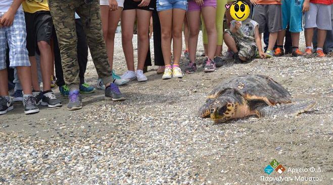 Caretta caretta απελευθερώθηκε στην ακτή του Παραλίου Άστρους (εικόνες)!