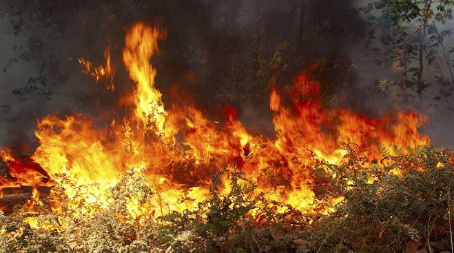 Σε ύφεση φωτιά που ξέσπασε τη νύχτα κοντά στη λιμνοθάλασσα Μουστού