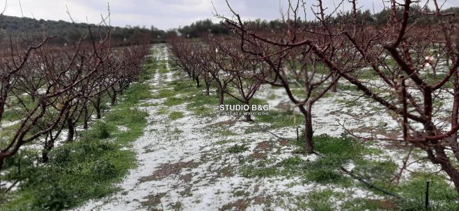 Χαλαζόπτωση προκάλεσε ζημιές στην περιοχή του Ναυπλίου!