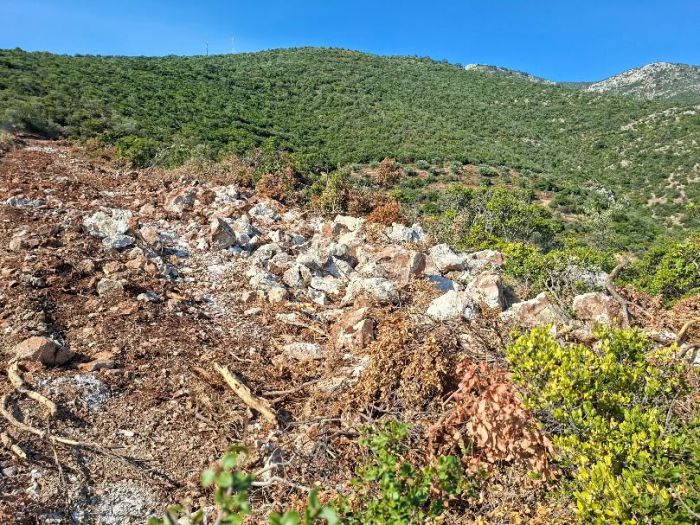 "&Omega;, &Delta;&alpha;&sigma;&alpha;&rho;&chi;&epsilon;ί&omicron; &Kappa;&upsilon;&nu;&omicron;&upsilon;&rho;ί&alpha;&sigmaf;! &Pi;&omicron;ύ &epsilon;ί&sigma;&alpha;&iota; &kappa;&alpha;&iota; &mu;&epsilon; &pi;&omicron;&iota;ό&nu;;"