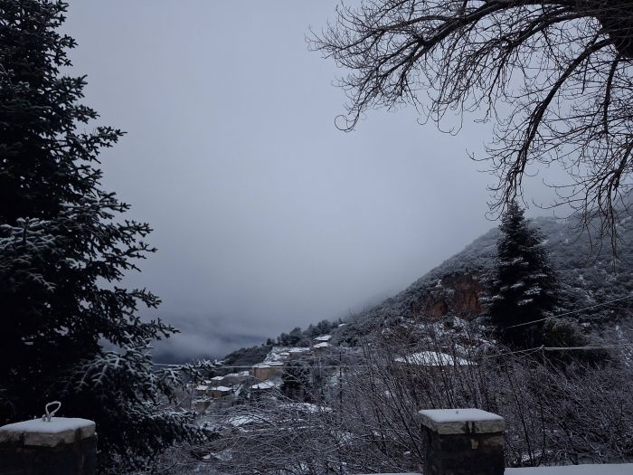 &Sigma;&tau;&epsilon;&mu;&nu;ί&tau;&sigma;&alpha;, &Kappa;&upsilon;&rho;&iota;&alpha;&kappa;ή &pi;&rho;&omega;ί &sigma;&epsilon; &lambda;&epsilon;&upsilon;&kappa;ό &kappa;&lambda;&omicron;&iota;ό (&epsilon;&iota;&kappa;ό&nu;&epsilon;&sigmaf;)