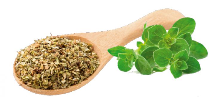 Έ&kappa;&theta;&epsilon;&sigma;&eta; &alpha;&gamma;&rho;&omicron;&tau;&iota;&kappa;ώ&nu; &pi;&rho;&omicron;ϊό&nu;&tau;&omega;&nu; &kappa;&alpha;&iota; &gamma;&iota;&omicron;&rho;&tau;ή &rho;ί&gamma;&alpha;&nu;&eta;&sigmaf; &sigma;&tau;&omicron;&nu; &Kappa;&omicron;&kappa;&kappa;&omicron;&rho;ά &Gamma;&omicron;&rho;&tau;&upsilon;&nu;ί&alpha;&sigmaf;