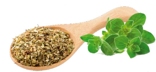 Έ&kappa;&theta;&epsilon;&sigma;&eta; &alpha;&gamma;&rho;&omicron;&tau;&iota;&kappa;ώ&nu; &pi;&rho;&omicron;ϊό&nu;&tau;&omega;&nu; &kappa;&alpha;&iota; &gamma;&iota;&omicron;&rho;&tau;ή &rho;ί&gamma;&alpha;&nu;&eta;&sigmaf; &sigma;&tau;&omicron;&nu; &Kappa;&omicron;&kappa;&kappa;&omicron;&rho;ά &Gamma;&omicron;&rho;&tau;&upsilon;&nu;ί&alpha;&sigmaf;