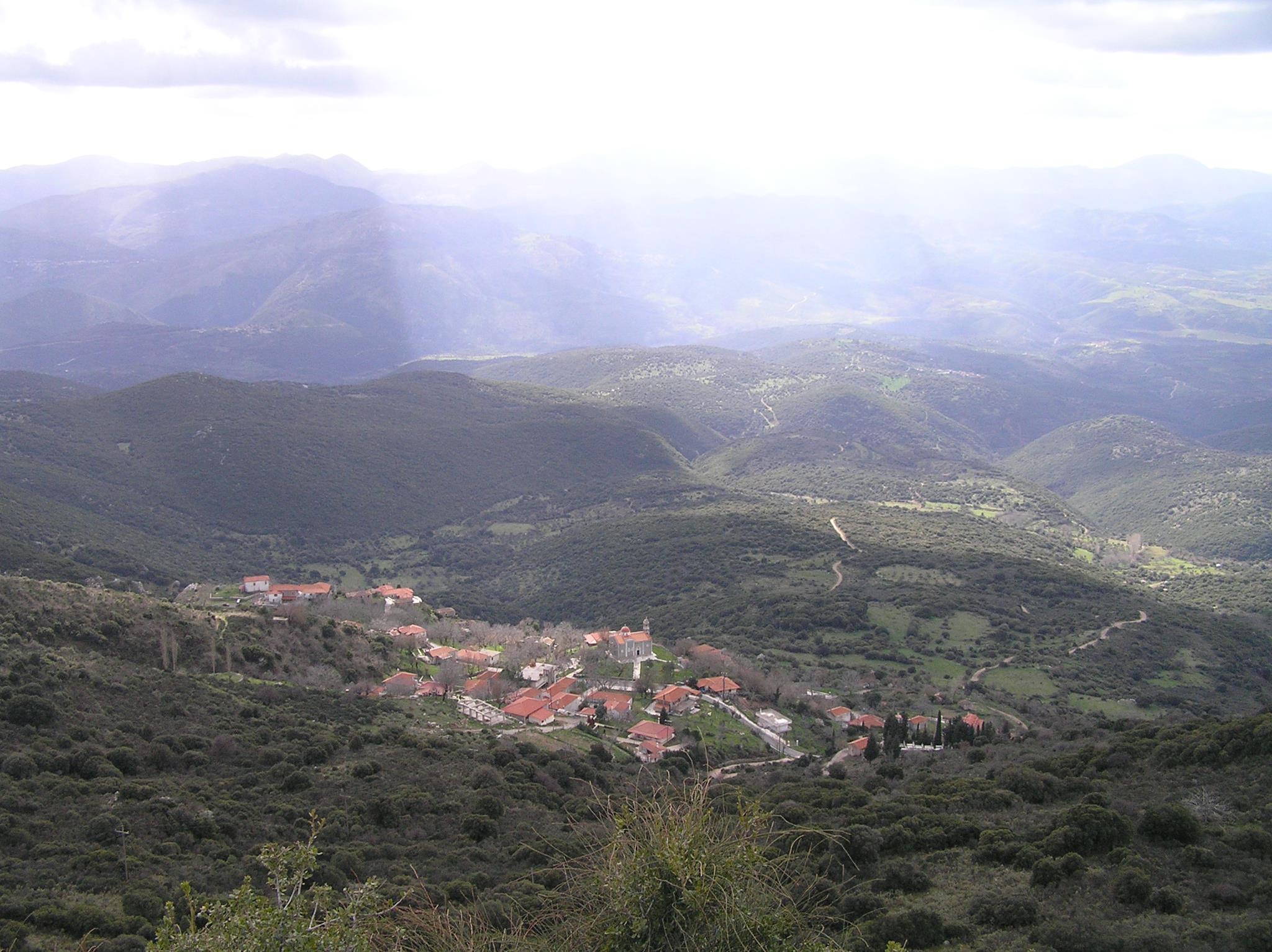 &Kappa;ό&beta;&epsilon;&iota; &tau;&eta;&nu; &pi;ί&tau;&alpha; &tau;&eta;&sigmaf; &eta; &Alpha;&delta;&epsilon;&lambda;&phi;ό&tau;&eta;&tau;&alpha;&sigmaf; &tau;&omega;&nu; &Alpha;&pi;&alpha;&nu;&tau;&alpha;&chi;&omicron;ύ &Beta;&lambda;&omicron;&gamma;&gamma;&alpha;ί&omega;&nu; &Gamma;&omicron;&rho;&tau;&upsilon;&nu;ί&alpha;&sigmaf;