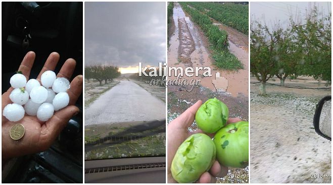 &Tau;&omicron; &chi;&alpha;&lambda;ά&zeta;&iota; &sigma;ά&rho;&omega;&sigma;&epsilon; &tau;&iota;&sigmaf; &kappa;&alpha;&lambda;&lambda;&iota;έ&rho;&gamma;&epsilon;&iota;&epsilon;&sigmaf; &sigma;&tau;&omicron; &Sigma;&tau;&epsilon;&nu;ό - &Nu;έ&epsilon;&sigmaf; &epsilon;&iota;&kappa;ό&nu;&epsilon;&sigmaf; &kappa;&alpha;&iota; &beta;ί&nu;&tau;&epsilon;&omicron; (vd)
