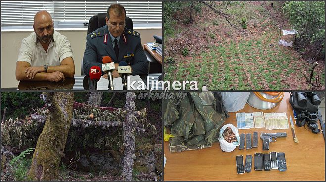 Πως η  Αστυνομία εντόπισε τη μεγάλη χασισοφυτεία στα Βούρβουρα – Πιάστηκαν στον .. ύπνο οι 3 Αλβανοί! (vd)