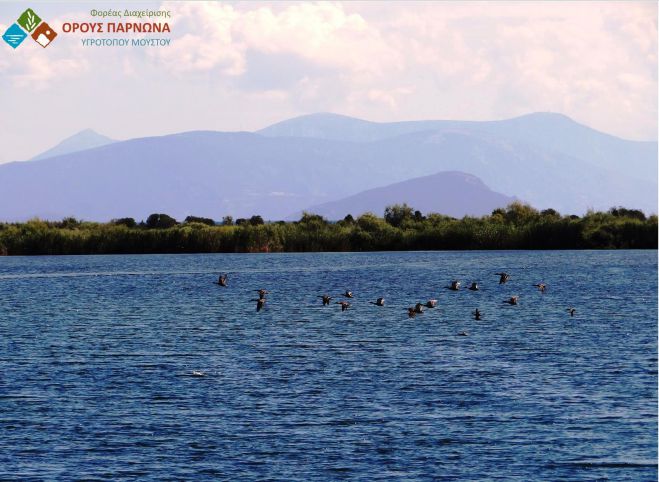 &Pi;&rho;ό&gamma;&rho;&alpha;&mu;&mu;&alpha; &Delta;&iota;&epsilon;&rho;&epsilon;ύ&nu;&eta;&sigma;&eta;&sigmaf; &tau;&eta;&sigmaf; &Gamma;&rho;ί&pi;&eta;&sigmaf; &tau;&omega;&nu; &Pi;&tau;&eta;&nu;ώ&nu;