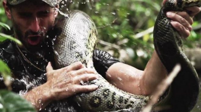 Πανικό και αντιδράσεις έχει προκαλέσει το Anaconda που τρώει ζωντανό έναν άνθρωπο!