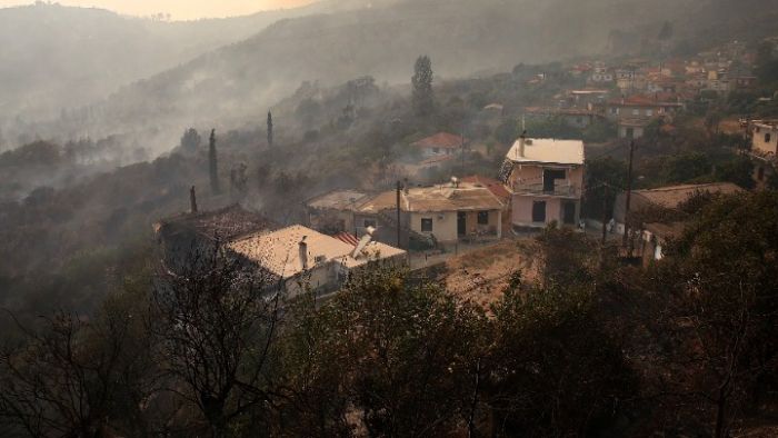 &Tau;&omicron; &Tau;&Epsilon;&Epsilon; &Pi;&epsilon;&lambda;&omicron;&pi;&omicron;&nu;&nu;ή&sigma;&omicron;&upsilon; &alpha;&rho;&omega;&gamma;ό&sigmaf; &tau;&eta;&sigmaf; &Pi;&omicron;&lambda;&iota;&tau;&epsilon;ί&alpha;&sigmaf; &sigma;&tau;&eta;&nu; &kappa;&alpha;&tau;&alpha;&gamma;&rho;&alpha;&phi;ή &tau;&omega;&nu; &zeta;&eta;&mu;&iota;ώ&nu; &sigma;&tau;&iota;&sigmaf; &pi;&upsilon;&rho;ό&pi;&lambda;&eta;&kappa;&tau;&epsilon;&sigmaf; &pi;&epsilon;&rho;&iota;&omicron;&chi;έ&sigmaf;