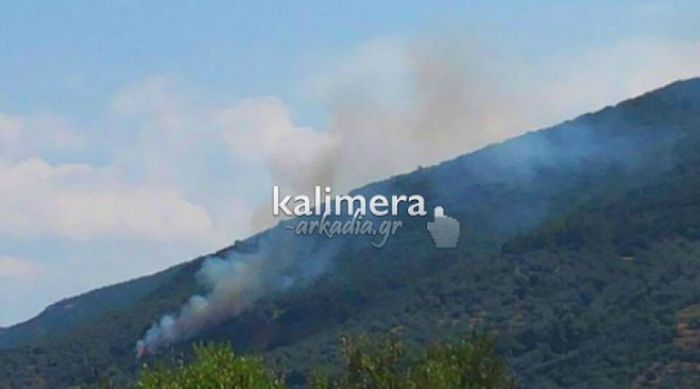 Έσβησε η φωτιά στα συνορα Μεσσηνίας Αρκαδίας