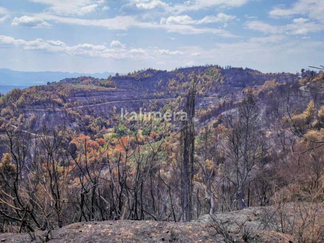 Ημερίδα ΣΥΡΙΖΑ στη Γορτυνία | &quot;Μετά τις πυρκαγιές τι;&quot;