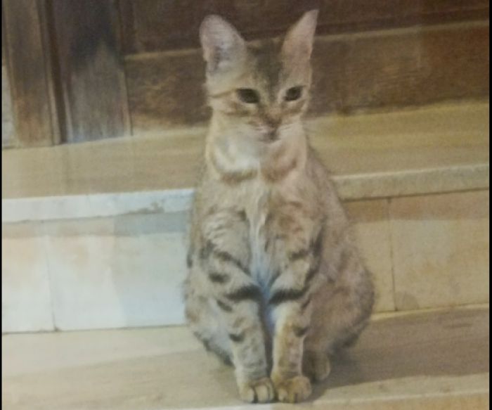 Αναζητείται φιλοξενία της Claire για την αποθεραπεία της