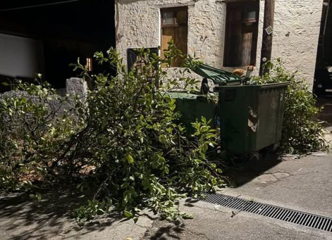 Δήμος Νότιας Κυνουρίας: "Τα κλαδιά πεταμένα δίπλα στον κάδο μπλοκάρουν τον δρόμο" (vd)