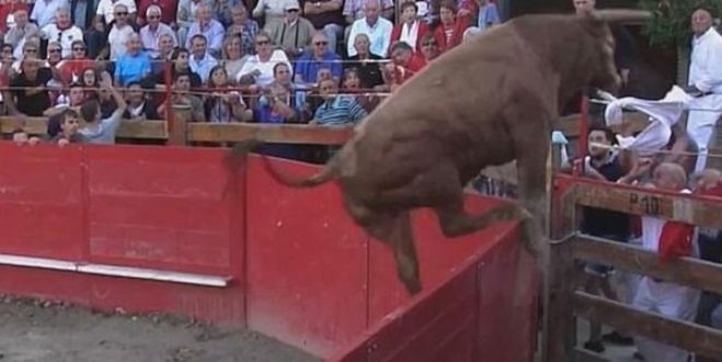 &Tau;&alpha;ύ&rho;&omicron;&sigmaf; &omicron;&rho;&mu;ά&epsilon;&iota; &sigma;&tau;&omicron; &kappa;&omicron;&iota;&nu;ό &kappa;&alpha;&iota; &pi;&rho;&omicron;&kappa;&alpha;&lambda;&epsilon;ί &pi;&alpha;&nu;&iota;&kappa;ό (vd)