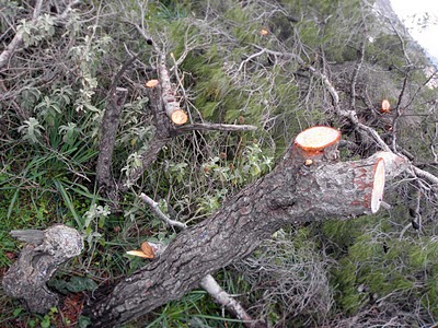 Αποφεύχθηκαν τα χειρότερα στο Βουνό Τεγέας…