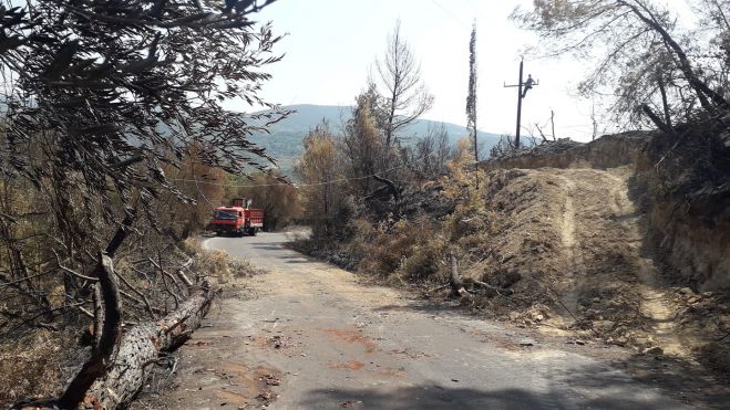 Παραμένει χωρίς ενεργό μέτωπο φωτιάς η Γορτυνία - Παραμένει ο κίνδυνος αναζωπυρώσεων