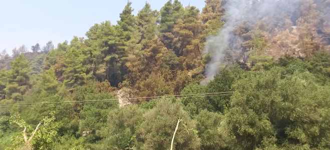 Γορτυνία | Ανάγκη για βοήθεια σε Χώρα και Ελαία
