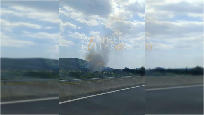 Πυρκαγιά σε εξέλιξη σε χορτολιβαδική έκταση μεταξύ Τρίπολης και Μεγαλόπολης
