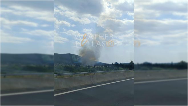Πυρκαγιά σε εξέλιξη σε χορτολιβαδική έκταση μεταξύ Τρίπολης και Μεγαλόπολης