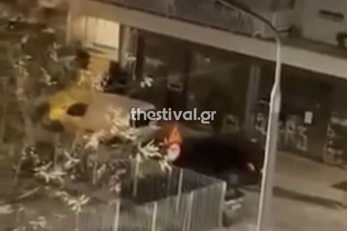 &Beta;ί&nu;&tau;&epsilon;&omicron; &ndash; &sigma;&omicron;&kappa; &alpha;&pi;ό &tau;&eta; &sigma;&tau;&iota;&gamma;&mu;ή &tau;&eta;&sigmaf; &delta;&omicron;&lambda;&omicron;&phi;&omicron;&nu;ί&alpha;&sigmaf; &tau;&omicron;&upsilon; 19&chi;&rho;&omicron;&nu;&omicron;&upsilon; &sigma;&tau;&eta;&nu; &Theta;&epsilon;&sigma;&sigma;&alpha;&lambda;&omicron;&nu;ί&kappa;&eta;