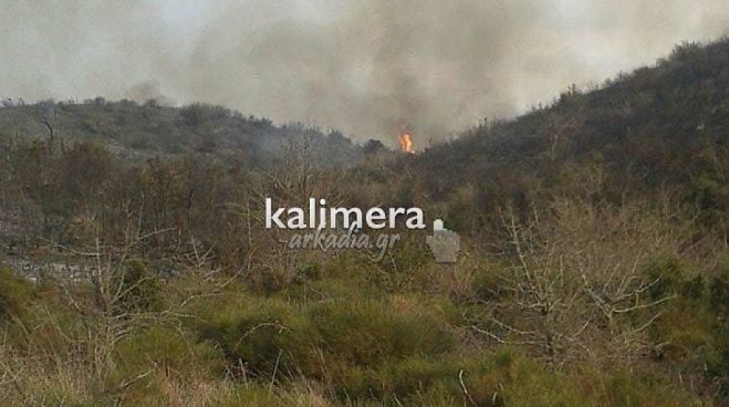 Υπό έλεγχο η φωτιά στη Γορτυνία