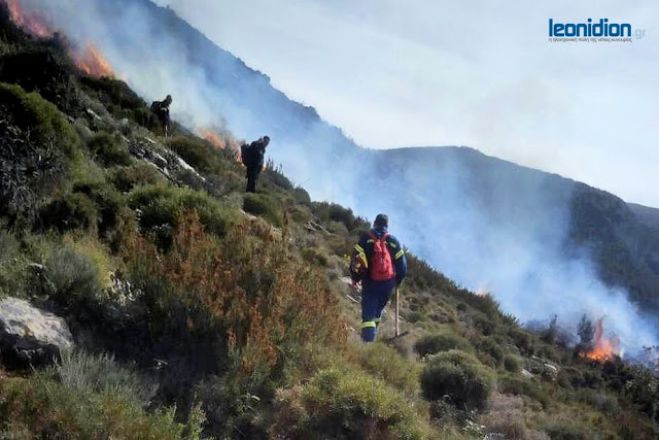 Πυρκαγιά έκαψε χαμηλή βλάστηση κοντά στο Μαρί Κυνουρίας (vd)