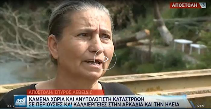 Η κυρία Ελένη από την Ελαία Γορτυνίας λέει κλαίγοντας: «Τι καταστροφή είναι αυτή; Δεν μπορούμε να ζήσουμε. Κάηκαν οι ελιές, κάηκαν τα πάντα» (vd)