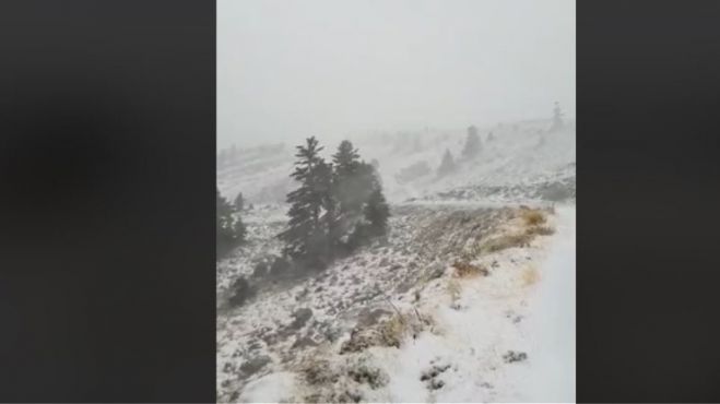 Στα λευκά και ο Παρνασσός!
