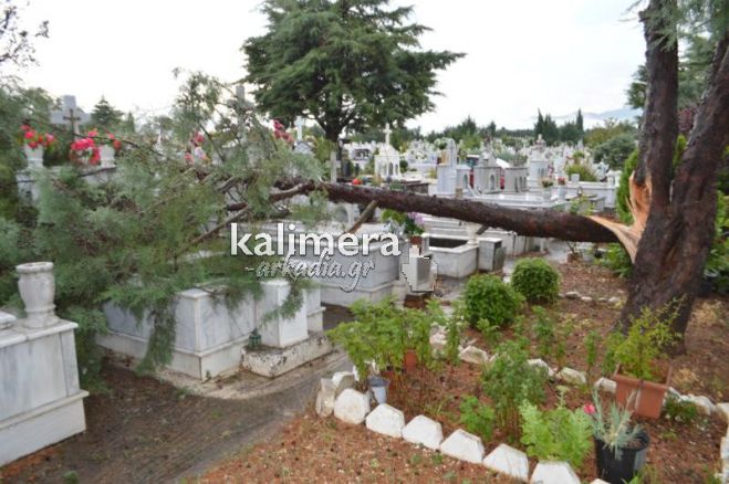 Ξερίζωσε δένδρα και προκάλεσε ζημιές ο δυνατός αέρας στο Κοιμητήριο της Τρίπολης (vd)