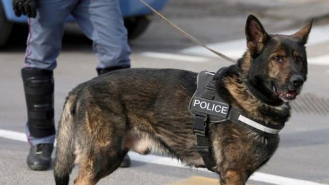 Φάρσα για βόμβα στο 2ο Λύκειο Τρίπολης – Aστυνομικός σκύλος συμμετείχε στον έλεγχο του σχολείου