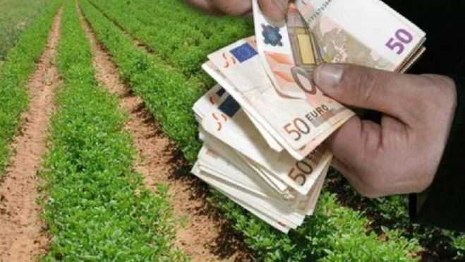 ΟΠΕΚΕΠΕ | Πότε θα πληρωθούν οι αγροτικές επιδοτήσεις της ενιαίας ενίσχυσης 2018