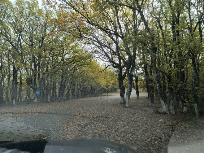 Το Δημοτικό Συμβούλιο Τρίπολης ενέκρινε τη δημιουργία εθελοντικού πυροσβεστικού κλιμακίου στις Κολλίνες